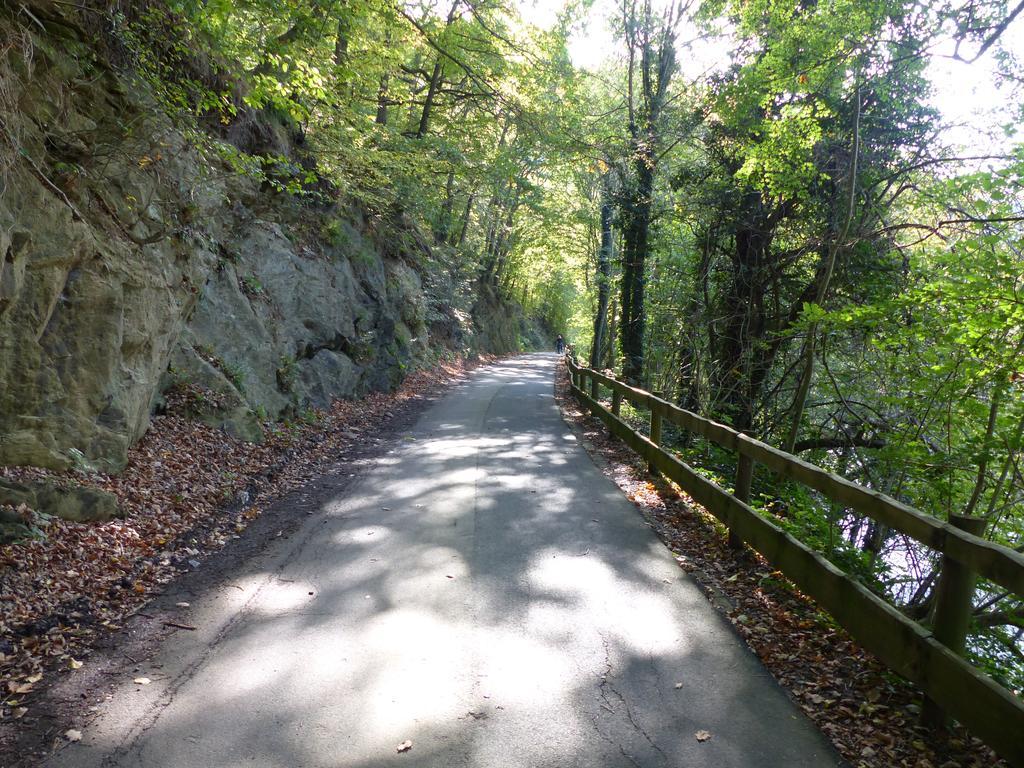 Ferienhaus Fischbachtal Heimbach Dış mekan fotoğraf